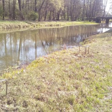 Спеціалісти Корюківського МУВГ організували еко-челендж