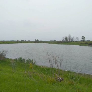 Відбулося обстеження берегів річок Десна, Мена, Снов та заплавних озер поблизу