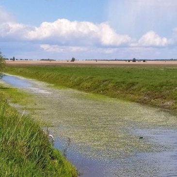 Завершено підготовку водогосподарсько-меліоративного комплексу до роботи у вегетаційний період
