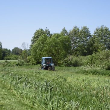 Виконано доглядові роботи на осушувальній системі «Одулівська річиця»