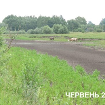 Щодо стану річки Стрижень поблизу села Великі Осняки