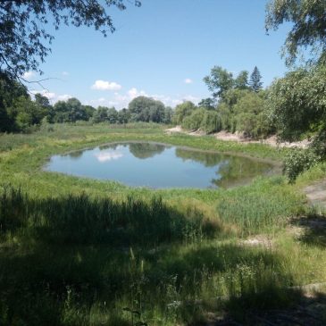 В Михайло-Коцюбинському проведено обстеження ставка, що пересихає