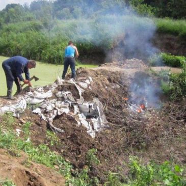 Розпочато роботи з розчистки річки Недра в селі Нова Басань