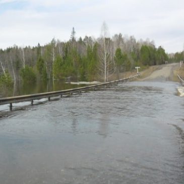 Шкідлива дія вод