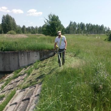 Доглядові роботи в підвідомчих організаціях Деснянського БУВР