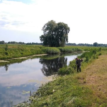 Продовжуються доглядові роботи в Борзнянському МУВГ