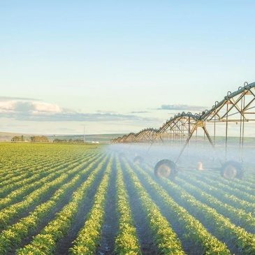 Особливості зрошення на Чернігівщині в 2020 році