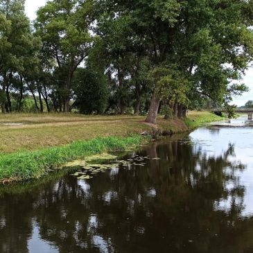 Продовжується комплекс доглядових робіт в зоні діяльності Деснянського БУВР