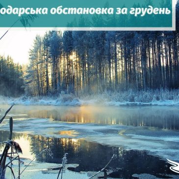 Водогосподарська обстановка за грудень місяць