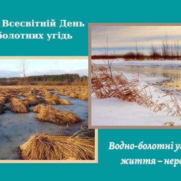 Цікаві факти про водно-болотні угіддя