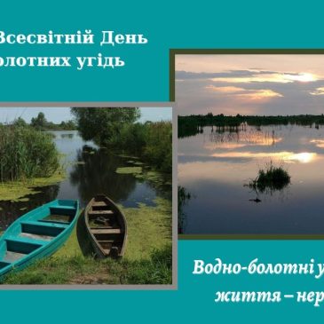 Продовжуємо подорожувати болотами Чернігівщини