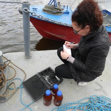 Триває моніторинг поверхневих вод в частині діагностичного моніторингу у межах суббасейну річки Десна