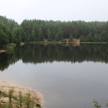 Триває процес створення територіальних комісій з проведення інвентаризації водних об’єктів