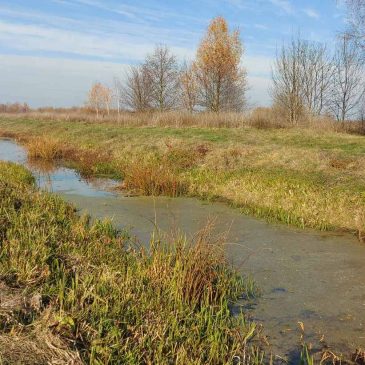 Водогосподарська обстановка в зоні діяльності Деснянського БУВР в жовтні місяці
