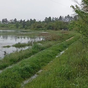 Водогосподарська обстановка на річках Чернігівщини