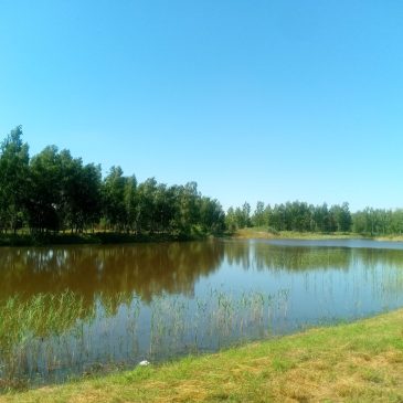 Водогосподарська обстановка в червні місяці