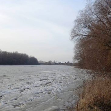 Розвиток зимової паводкової ситуації в басейнах річок Дніпро та Десна