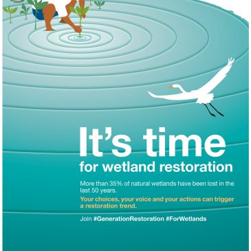 2 лютого – Всесвітній день водно-болотних угідь